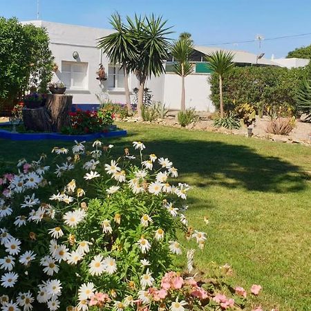 En Finca Las Dunas Dos Chalets Con Jacuzzis En Primera Linea De Playa , Uno De 4 Dormitorios Y Otro De 2 Dormitorios, Llama Al Seiscientos Veintisiete Cuatrocientos Diecisiete Trescientos Noventa Y Ocho Rota Dış mekan fotoğraf