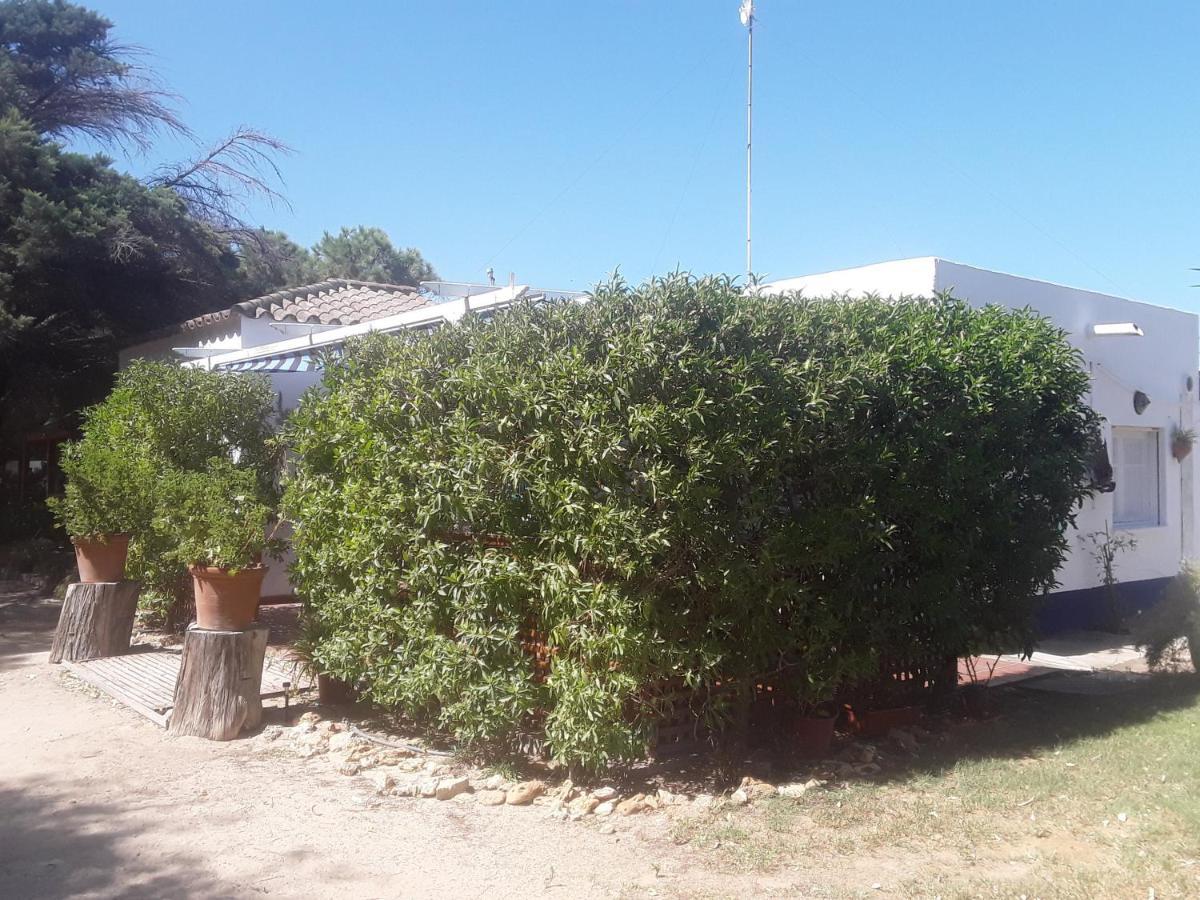 En Finca Las Dunas Dos Chalets Con Jacuzzis En Primera Linea De Playa , Uno De 4 Dormitorios Y Otro De 2 Dormitorios, Llama Al Seiscientos Veintisiete Cuatrocientos Diecisiete Trescientos Noventa Y Ocho Rota Dış mekan fotoğraf