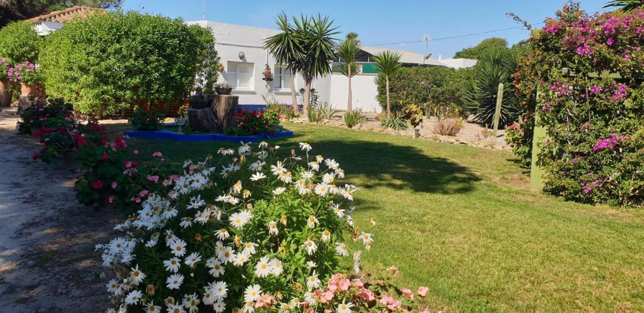 En Finca Las Dunas Dos Chalets Con Jacuzzis En Primera Linea De Playa , Uno De 4 Dormitorios Y Otro De 2 Dormitorios, Llama Al Seiscientos Veintisiete Cuatrocientos Diecisiete Trescientos Noventa Y Ocho Rota Dış mekan fotoğraf