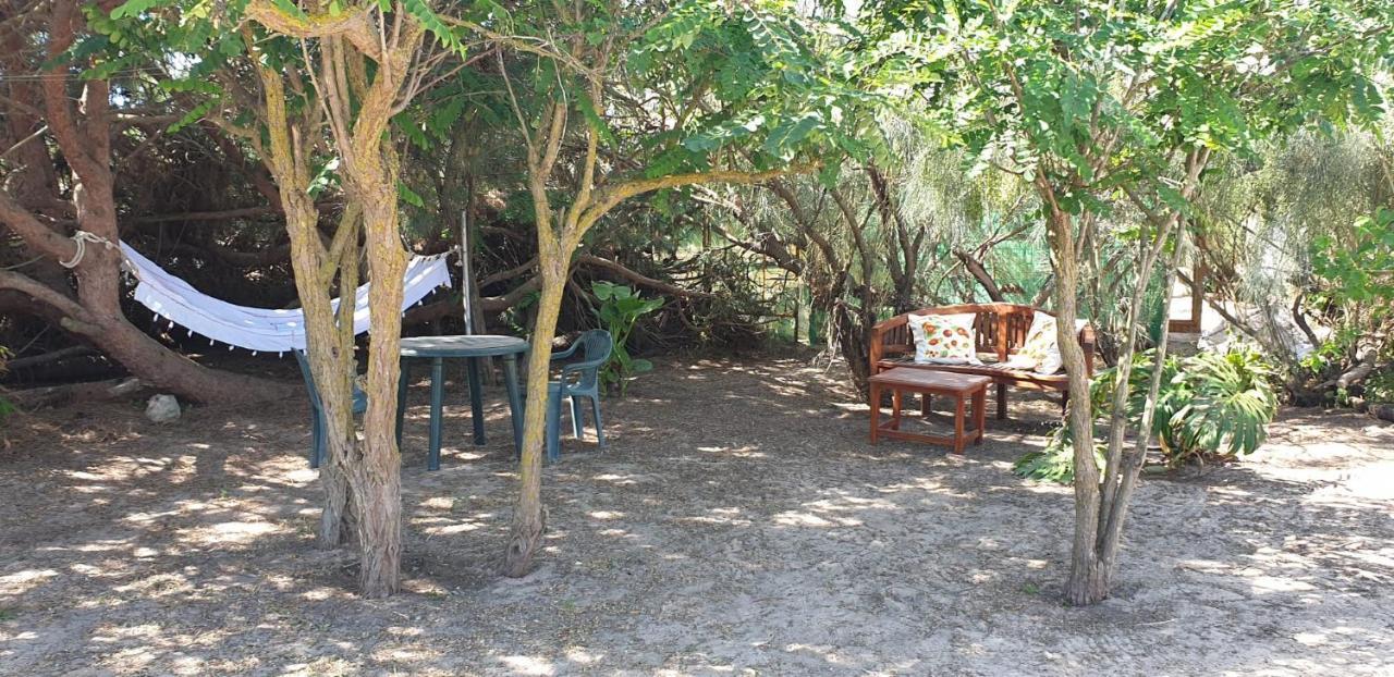 En Finca Las Dunas Dos Chalets Con Jacuzzis En Primera Linea De Playa , Uno De 4 Dormitorios Y Otro De 2 Dormitorios, Llama Al Seiscientos Veintisiete Cuatrocientos Diecisiete Trescientos Noventa Y Ocho Rota Dış mekan fotoğraf