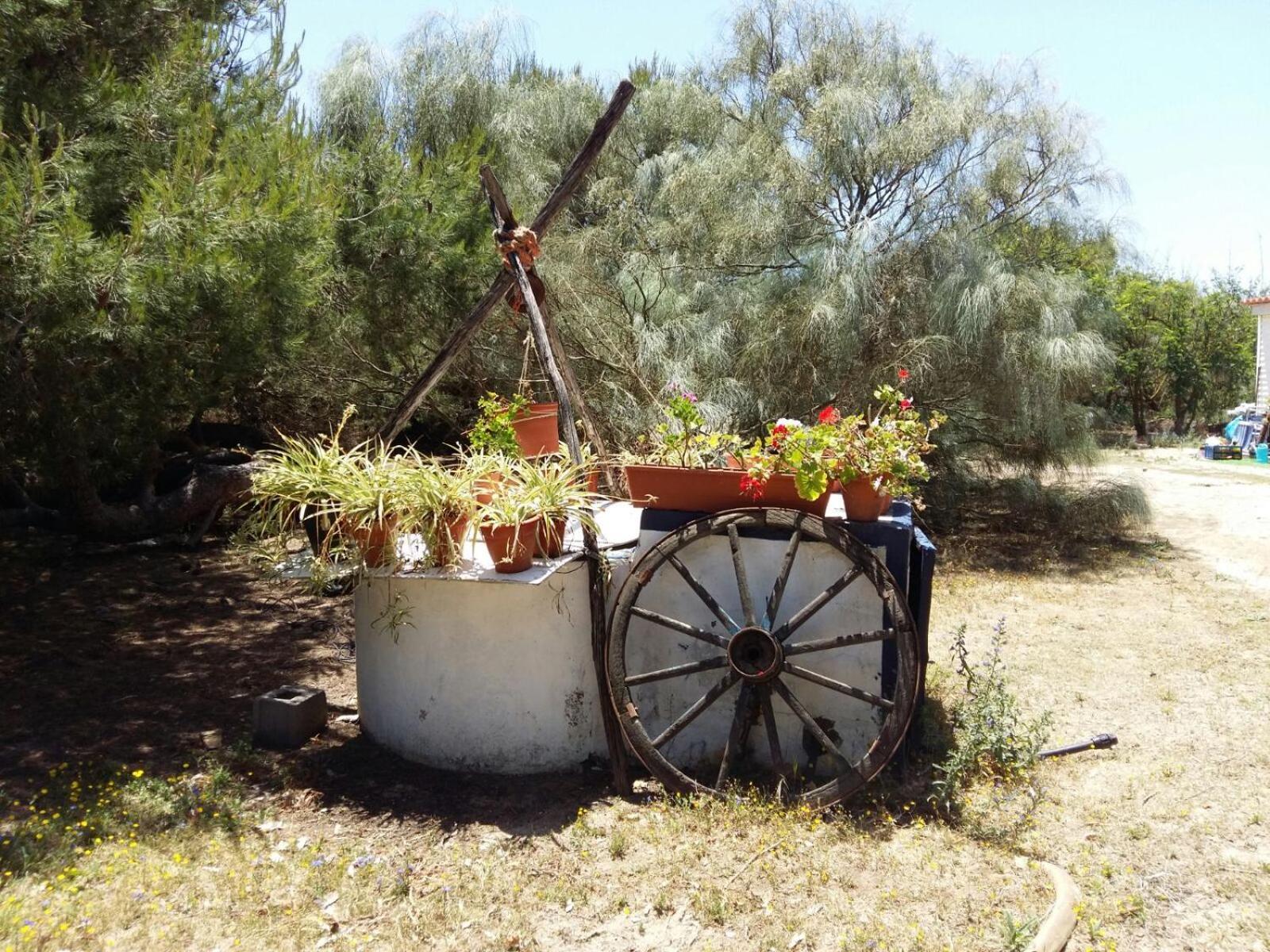 En Finca Las Dunas Dos Chalets Con Jacuzzis En Primera Linea De Playa , Uno De 4 Dormitorios Y Otro De 2 Dormitorios, Llama Al Seiscientos Veintisiete Cuatrocientos Diecisiete Trescientos Noventa Y Ocho Rota Dış mekan fotoğraf