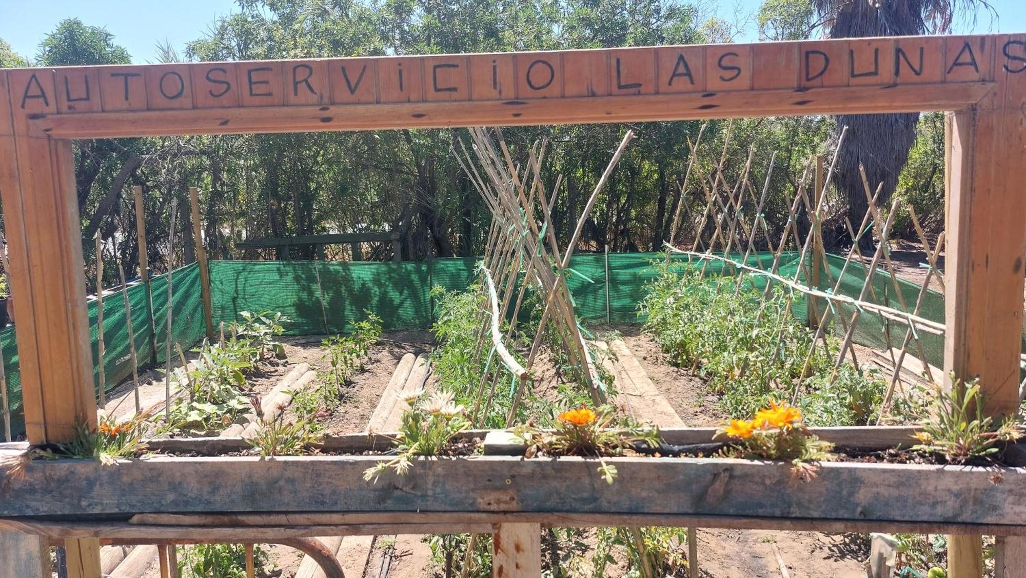 En Finca Las Dunas Dos Chalets Con Jacuzzis En Primera Linea De Playa , Uno De 4 Dormitorios Y Otro De 2 Dormitorios, Llama Al Seiscientos Veintisiete Cuatrocientos Diecisiete Trescientos Noventa Y Ocho Rota Oda fotoğraf