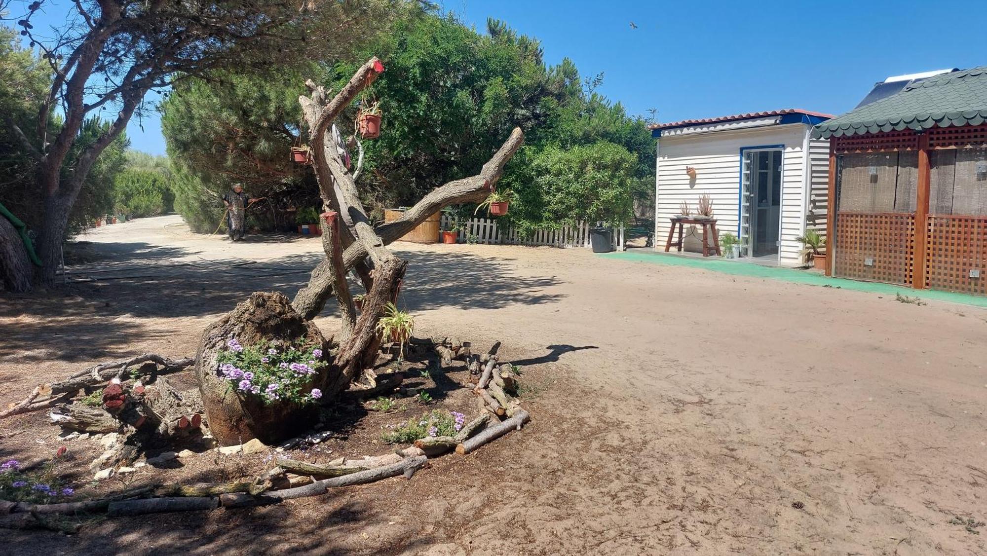 En Finca Las Dunas Dos Chalets Con Jacuzzis En Primera Linea De Playa , Uno De 4 Dormitorios Y Otro De 2 Dormitorios, Llama Al Seiscientos Veintisiete Cuatrocientos Diecisiete Trescientos Noventa Y Ocho Rota Dış mekan fotoğraf