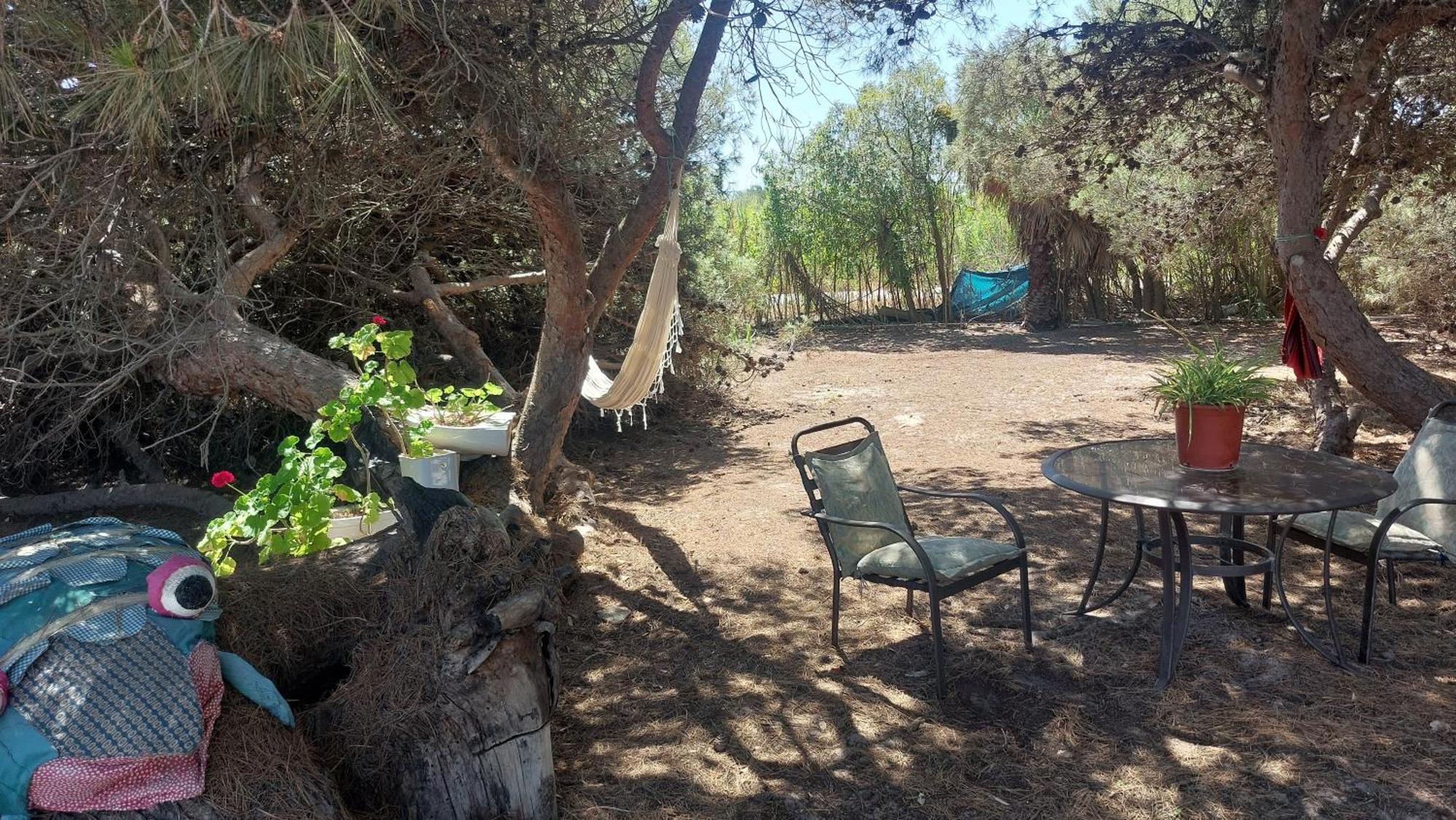 En Finca Las Dunas Dos Chalets Con Jacuzzis En Primera Linea De Playa , Uno De 4 Dormitorios Y Otro De 2 Dormitorios, Llama Al Seiscientos Veintisiete Cuatrocientos Diecisiete Trescientos Noventa Y Ocho Rota Dış mekan fotoğraf