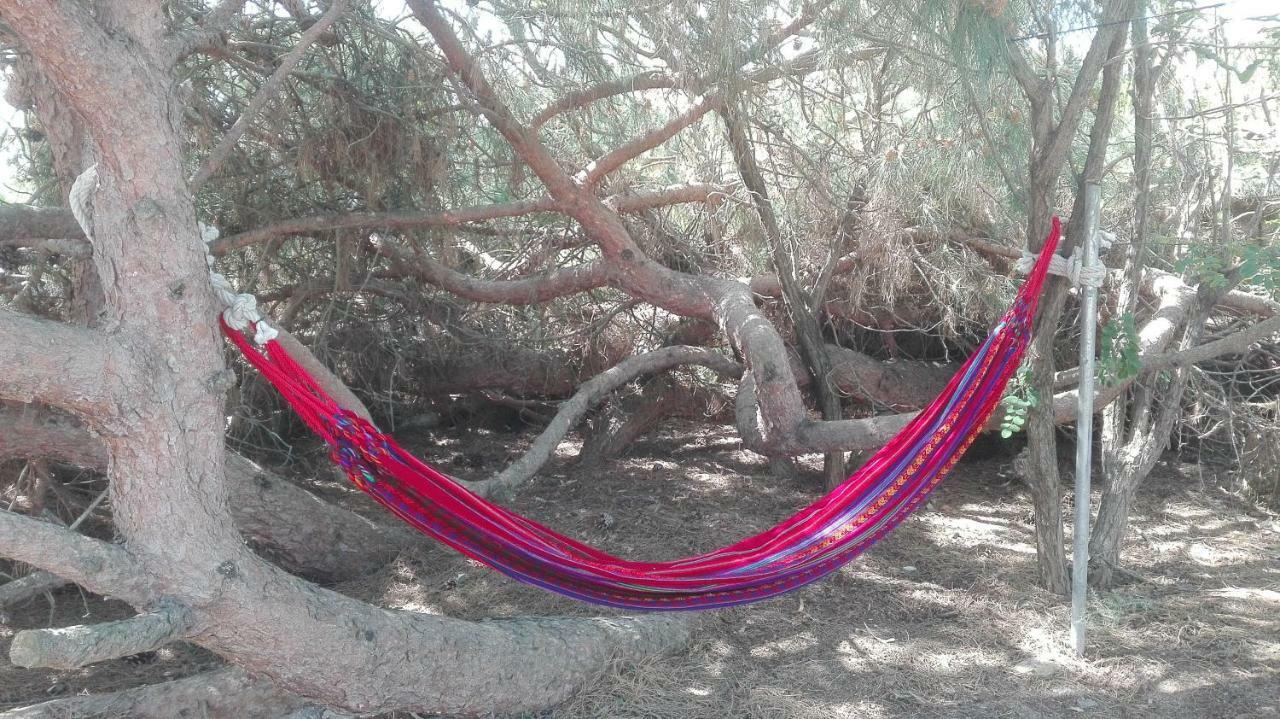En Finca Las Dunas Dos Chalets Con Jacuzzis En Primera Linea De Playa , Uno De 4 Dormitorios Y Otro De 2 Dormitorios, Llama Al Seiscientos Veintisiete Cuatrocientos Diecisiete Trescientos Noventa Y Ocho Rota Dış mekan fotoğraf