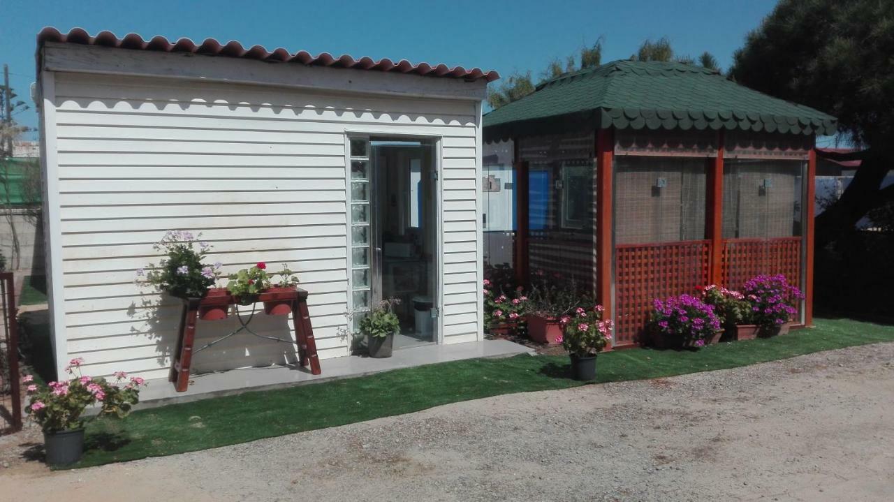 En Finca Las Dunas Dos Chalets Con Jacuzzis En Primera Linea De Playa , Uno De 4 Dormitorios Y Otro De 2 Dormitorios, Llama Al Seiscientos Veintisiete Cuatrocientos Diecisiete Trescientos Noventa Y Ocho Rota Dış mekan fotoğraf